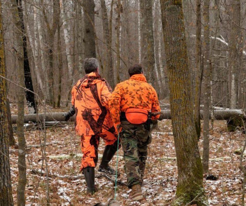 two men in orange deer hunting